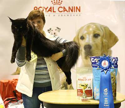 �������� ����� 18-19 ������� 2014 WCF-����� 6-22-169A3274 copy.jpg